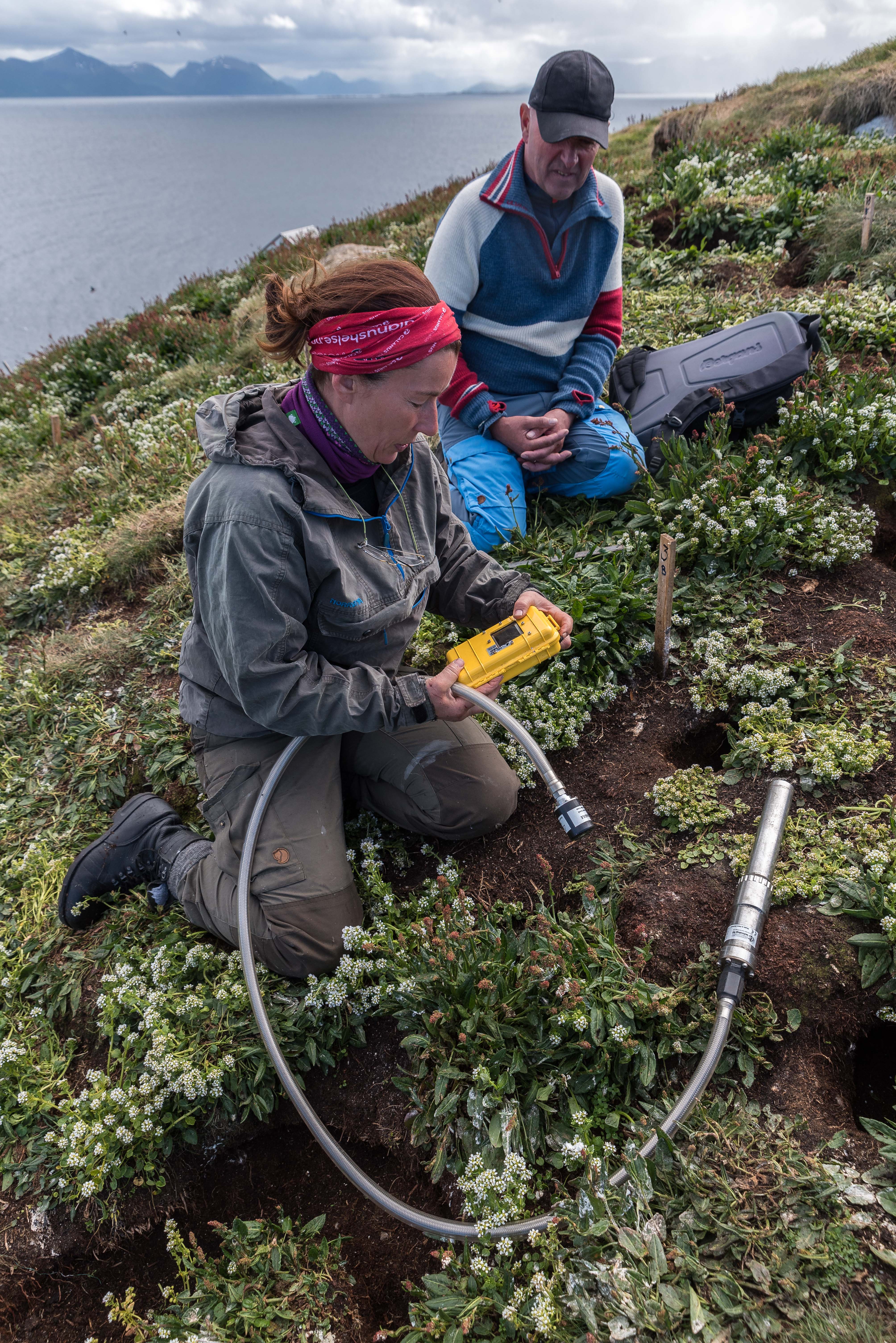 Use of cameras in the puffin nesting corridors